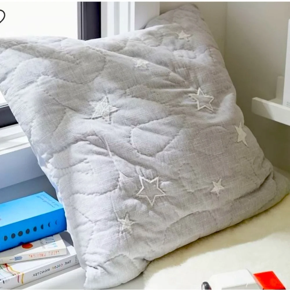 Pottery Barn Kids European Square Paw Patrol Quilted Embroidered Sham